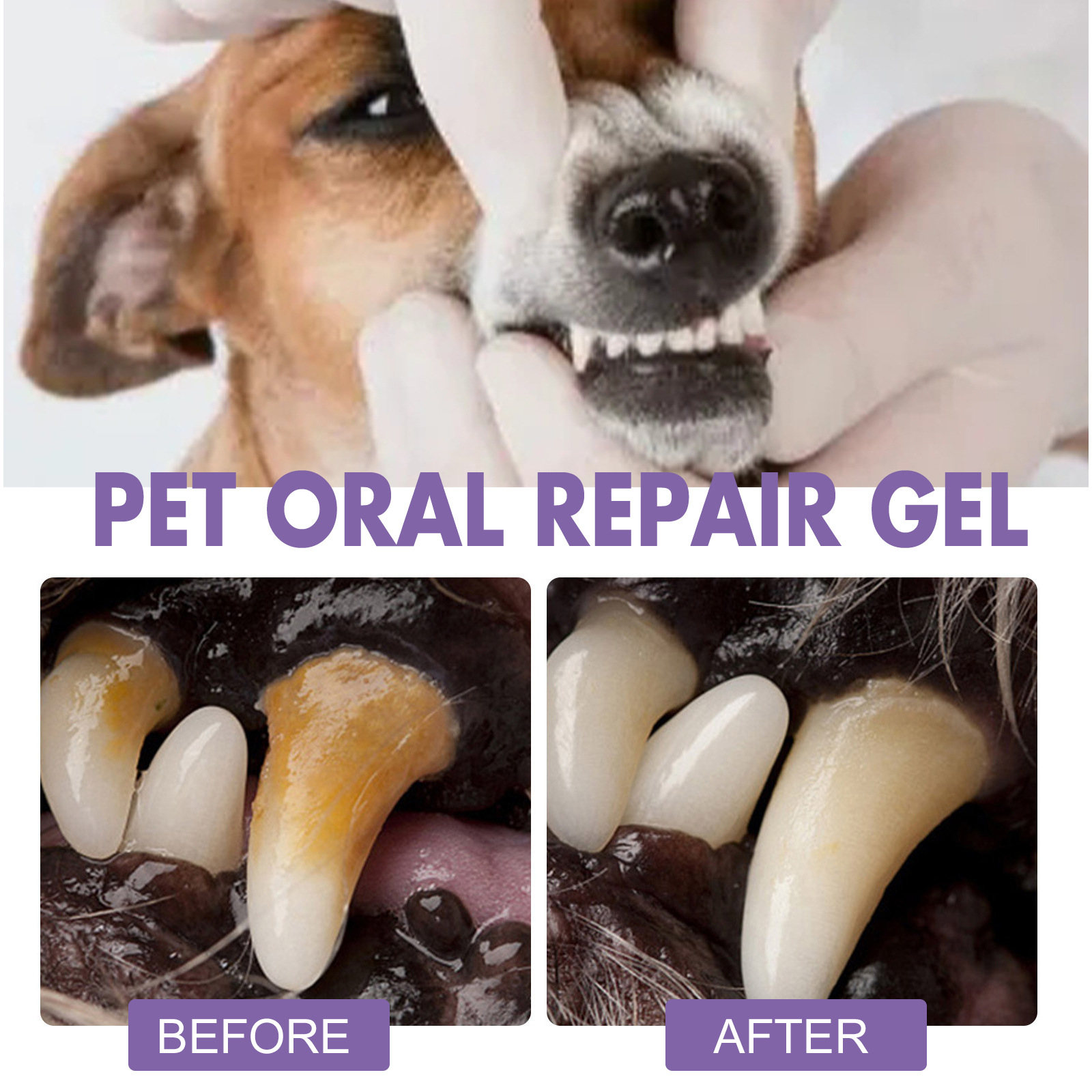 Pet Oral Repair Gel Puppy Tart - Teeth Whitening Results avaliação e preço