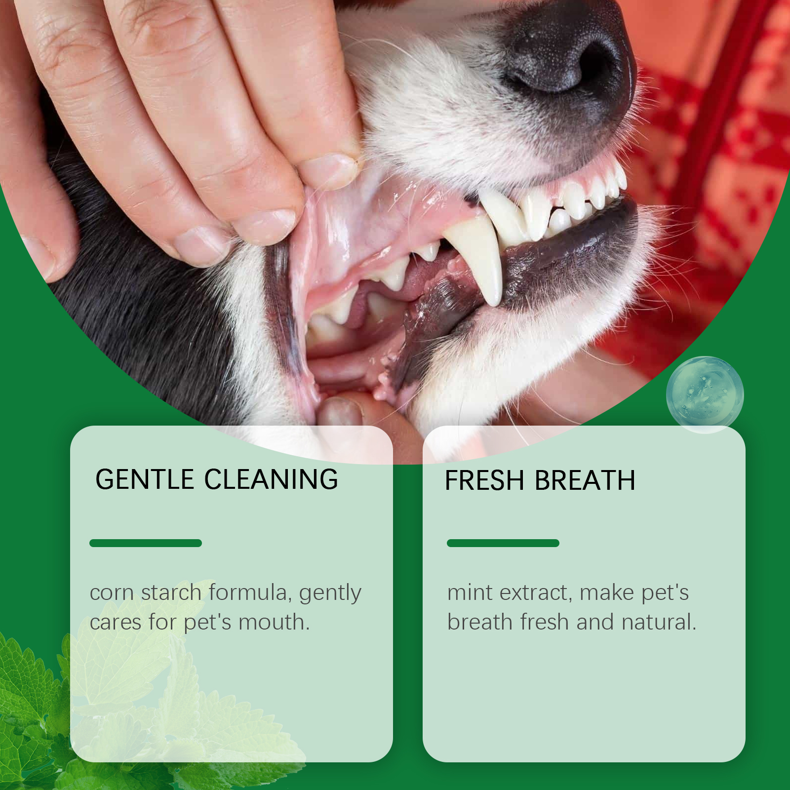Pet Teeth Cleaning Powder Redu - Teeth Whitening Results avaliação e preço