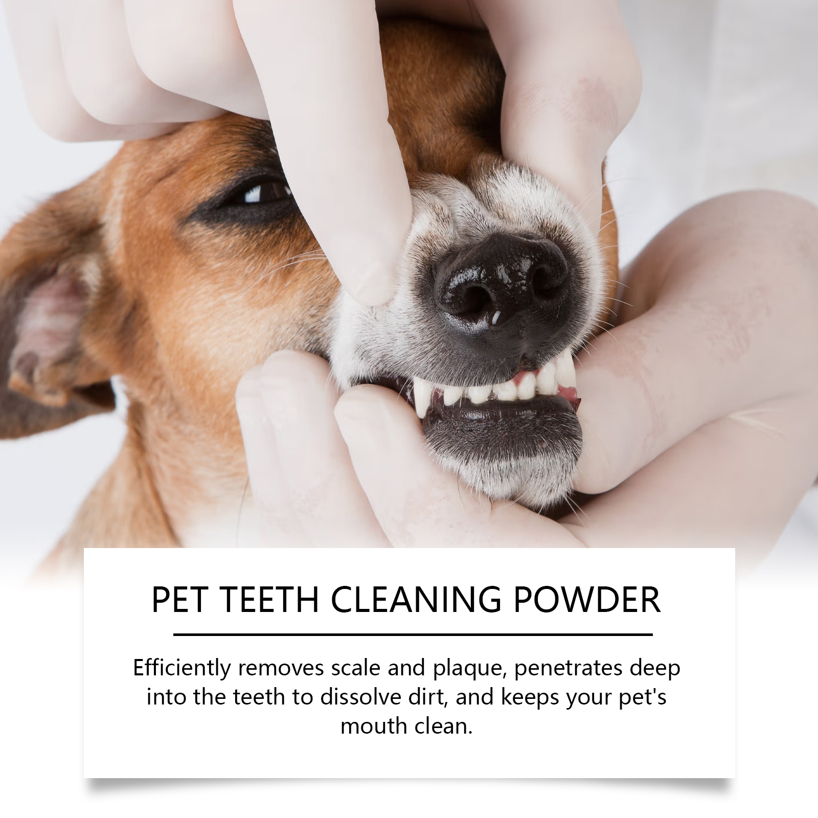 Pet Teeth Cleaning Powder Redu - Teeth Whitening Results avaliação e preço